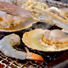 炉端焼き 海鮮牡蠣専門店 貝屋貝楽特集写真1