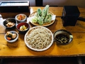 料理メニュー写真&nbsp;山菜天ざるそば