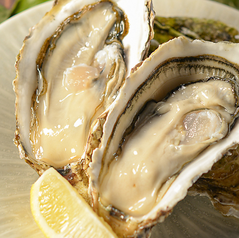 �Y�Ă� �� ���܃v���[�U�X