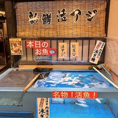 鮮度抜群！店内にある生簀から鯵を提供！