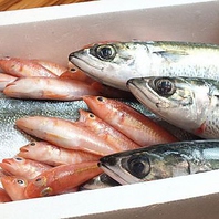 『横浜市場』から仕入れる厳選の鮮魚