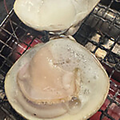 ハマグリ