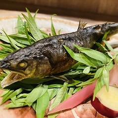 鮎塩焼き