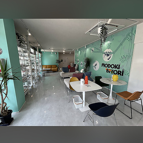 爬虫類カフェ　カフェ　海遊館/お電話にてご予約の方が確実です！