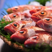 いかの墨 シアル横浜アネックス店の写真