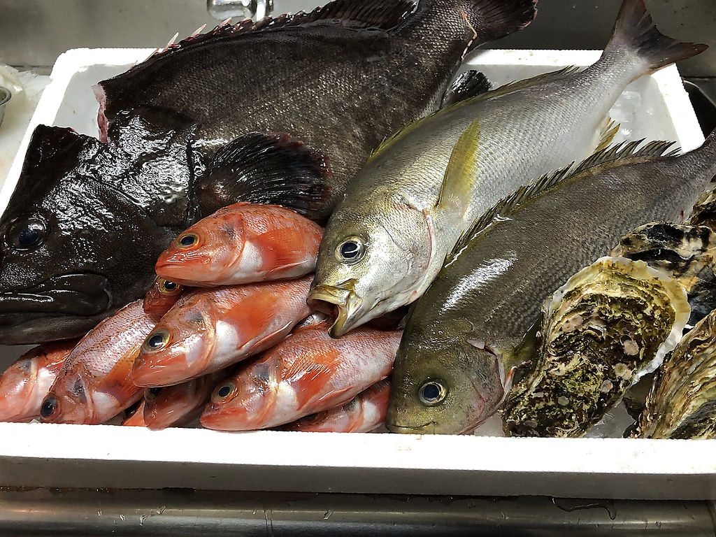 市場直送のその日一番新鮮な海鮮を皆様にご提供させて頂きます！日本酒も相性抜群♪