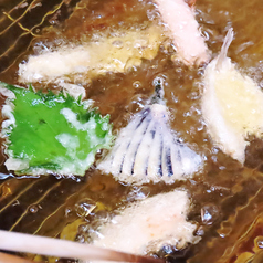 【揚げたて】絶品の天ぷら各種の写真
