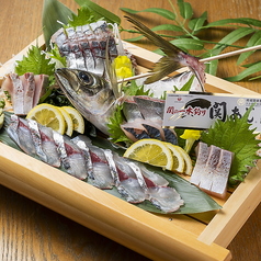 豊後水道　関サバor関アジ　姿造り盛り合わせ