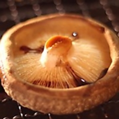 肉厚！焼きジャンボしいたけ