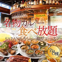 SAPANA サパナ 京橋店のコース写真