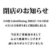 シェルフ SHELF 札幌 パルコ店