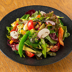 農園野菜のグリーンサラダ ~自家製りんごの発酵ドレッシング~