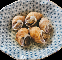 バイ貝のおでん