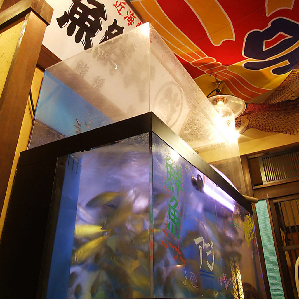 入ってすぐ右手には、お店の生簀で泳ぐ活魚達！