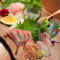 【漁港で毎日水揚げ】新鮮魚介の海鮮料理