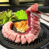 韓国BBQ ガチカジャ ビアガーデンのおすすめ料理2