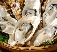 黄達磨のコース写真