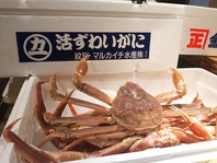 北海道直送の珍しい魚介類