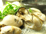新鮮な広島産大粒牡蠣！プリプリでやみつきになる美味しさ。