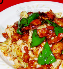 【飯物】ホイコー飯 小