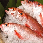 当店の魚介は全て漁港直送の鮮魚を使用しており、プロの職人が心を込めて丁寧に調理いたします。