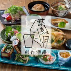 葉もれ日+の写真