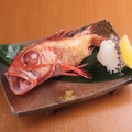 料理メニュー写真&nbsp;（魚）きんき一本焼き　