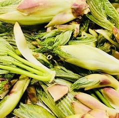 天然山菜