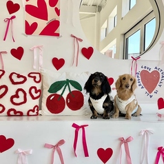 gifff ジフの雰囲気1