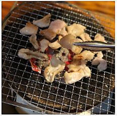 炭火ホルモンごかん 延岡 焼肉 ホルモン ネット予約可 ホットペッパーグルメ