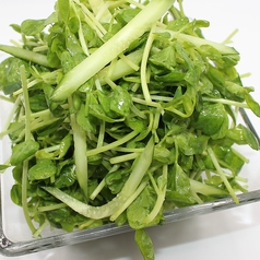 豆苗と胡瓜のうま塩サラダ