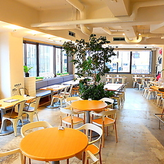 【宴会・貸切大歓迎】お肉と鎌倉野菜ダイニング　鎌倉1129　鎌倉小町通店の特集写真