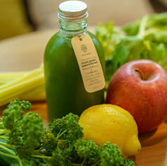 ALCHEMY アルケミーの特集写真