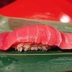 本マグロ！中トロ　寿司