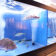 炙り炉端 山尾 博多駅前の外観3