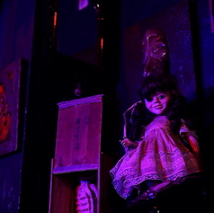 呪物cafeジュジュの特集写真