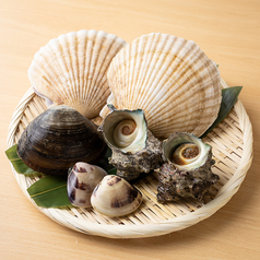 貝盛合せ(大盛り)