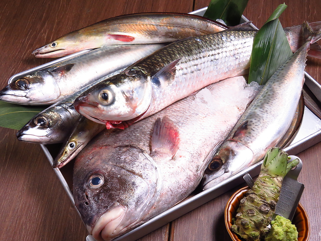 仕入にこだわり◎旬の鮮魚を使った各種お料理も当店の自慢です