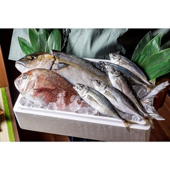 野毛商店 本店の特集写真