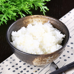 ご飯