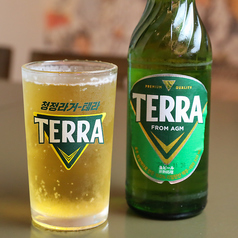 韓国ビール TERRA