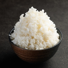 ライス(大)