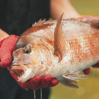 最高の品質と価格効率の両立を実現◎