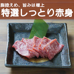 【宮崎牛】特選しっとり赤身　《しお・たれ》