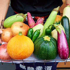 葉もれ日+の特集写真