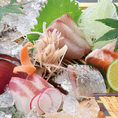 鮮度にこだわり厳選した旬の鮮魚を豪快に盛り付けた、お刺身盛り合わせ♪