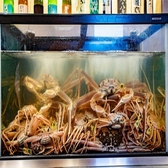 店内には立派な生簀を完備し、地元の漁師から直接仕入れた新鮮な活魚をご用意しております。生簀の中には、旬の魚介類や自慢の活きたオマール海老などが泳ぎ 、鮮度への並々ならぬこだわりを感じていただけます。オーダーが入ってから生簀より水揚げして調理するため、素材本来の旨味と食感を堪能できます。