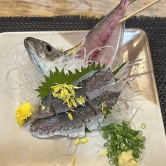 あじ活造り