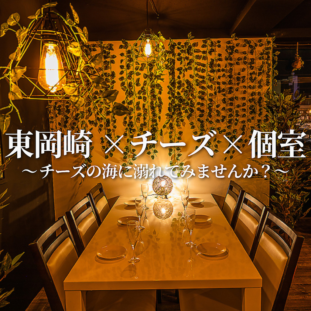 東岡崎/居酒屋/駅チカ/女子会/イタリアン/完全個室/誕生日/デート/合コン/喫煙/肉バル/飲み放題/貸切
