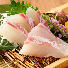 活けじめ真鯛